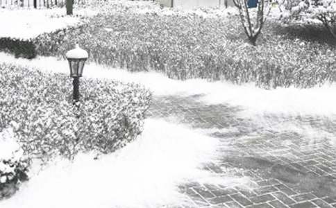 С�W������ȫ���C��