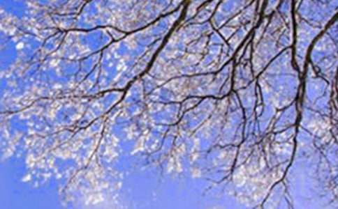 �����ӽ̌W�OӋ