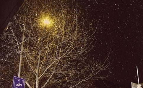 ������L���İ�