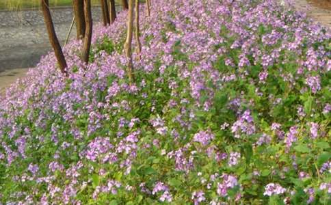 �����ֶ����m����x��