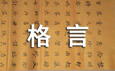 ���؂䡿2023���������������ժ�40��