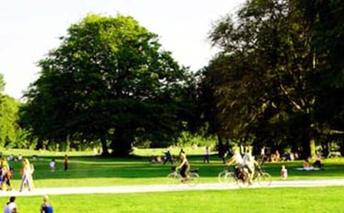 ͤ�ֹ��@����