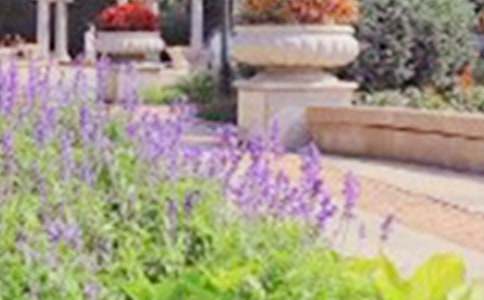 ������ͤ�ֹ��@����