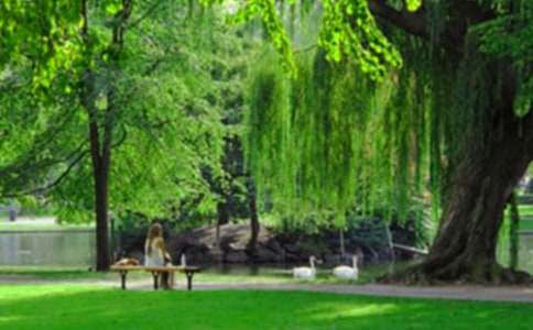 ͤ�ֹ��@����(�ϼ�7ƪ)