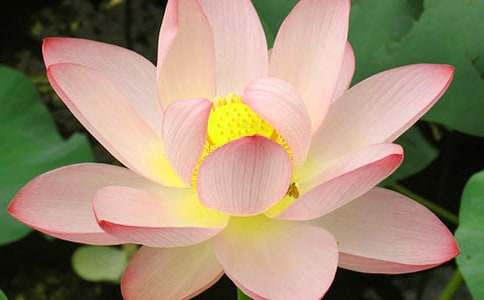 ���ɻ����̌W�OӋ����؂�[5ƪ]