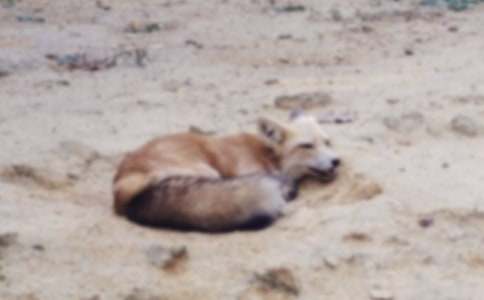 ����؂���ǵĹ��¡��x��� �����x22ƪ��