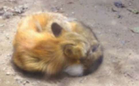 �������˲���ĺ�؂�ְ��x���