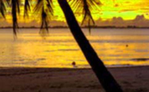 ���ڰ�ȫ���C���ϼ�15ƪ