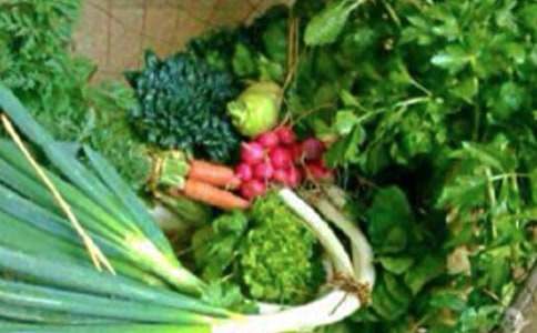 �P�ڽ�ͨ��ȫ�Ľ����̰������x12ƪ��