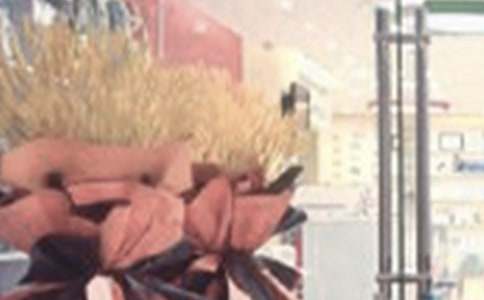 �_�I�xʽ��Ո��