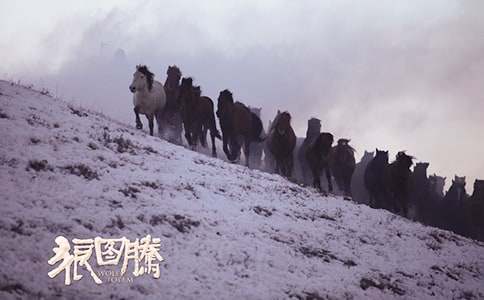 �Ӱ�ǈD�v�^���11ƪ