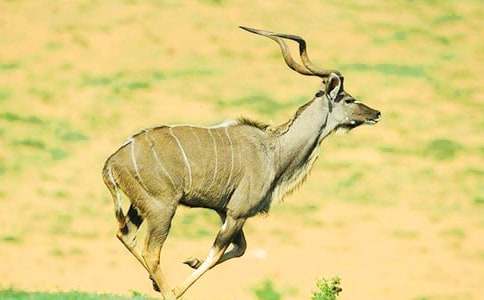 ������ľ���x���