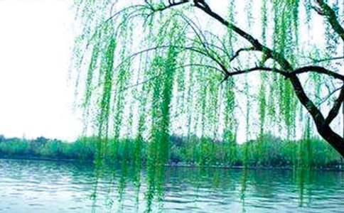 ���ˇ�g�̰����������