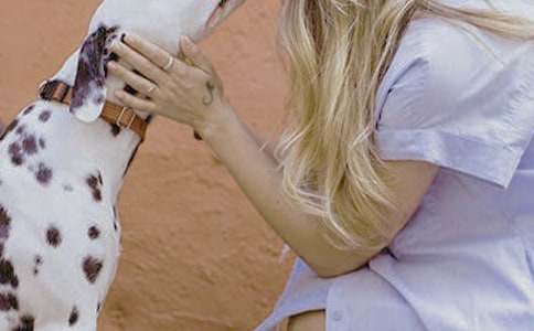 Ů��������