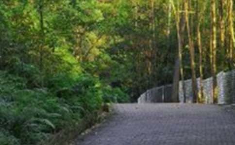 ����ɽ�����_���u�n��