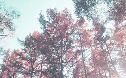 �＾�V���壨ͨ��20ƪ��