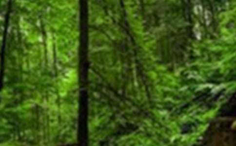 ��������ɭ�ֈ��x���15ƪ