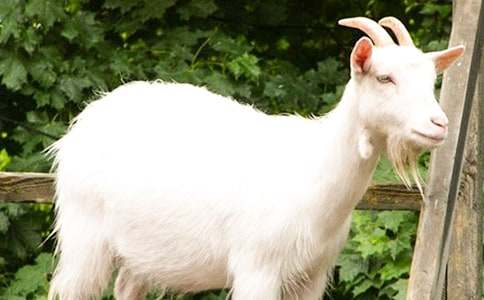 �����cɽ���x���