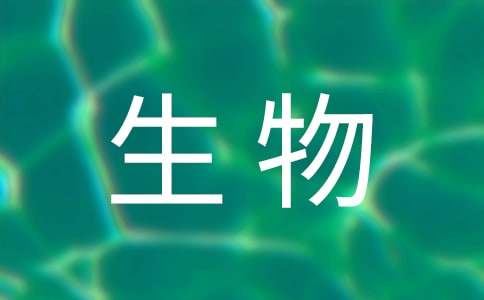 高一生物備課組工作總結(jié)