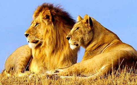 �{���֌����~(18ƪ)