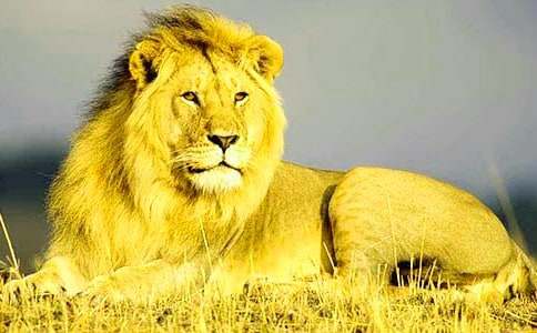 �{���֌����~���᡿