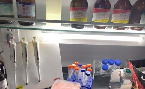 ����Ұ�ȫ���ĵ��w�����ģ�ͨ��6ƪ��