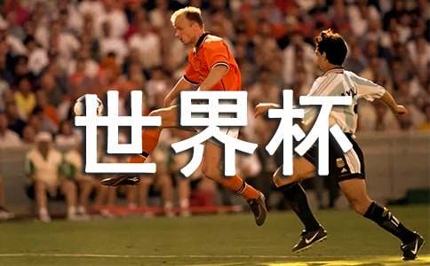 ���籭���了���İ�