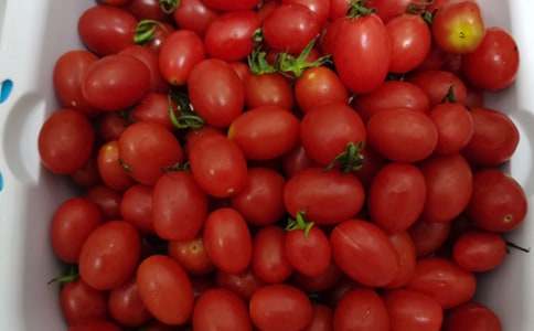 ����ˮ��ɳ����ӛ