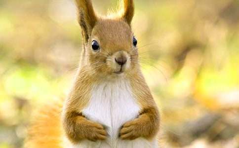 С����͸���������700��