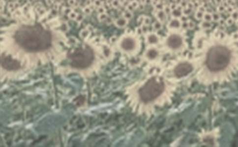 �x�����̫ꖻ�Ů���и�11ƪ