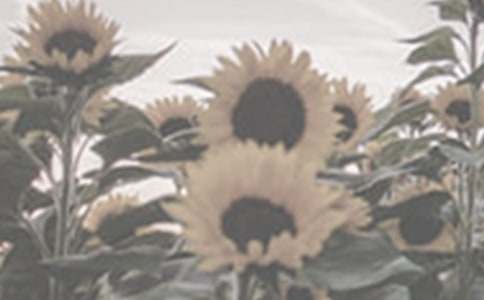 �������̫ꖻ�Ů�����x���9ƪ