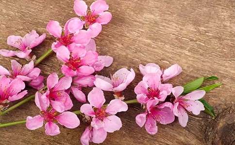 ��Ƭ�һ�������