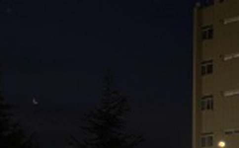 �P�������������İ��R��165��