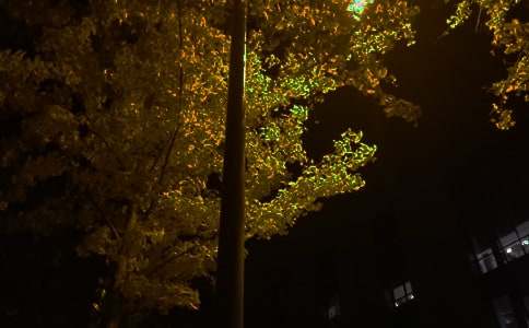 �P�ڄ�־����ף���Z��ȫ�����x65�䣩