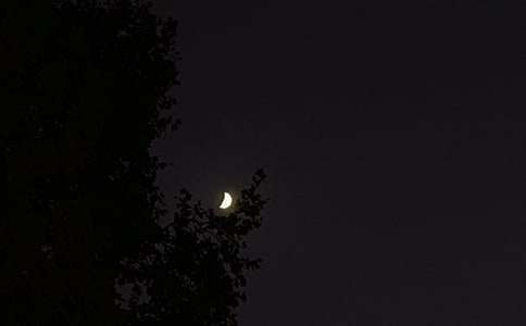 �P�����������İ������x55�䣩