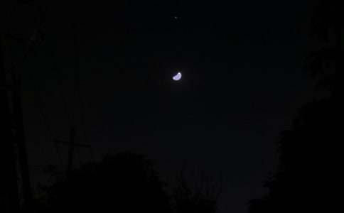 ��������ף���Z95��