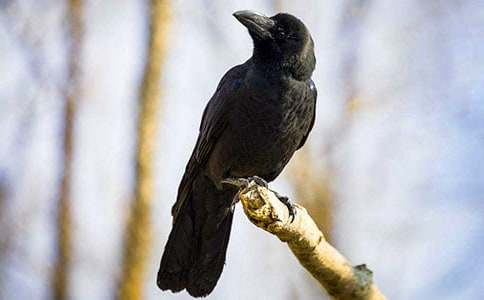 �����f��ˮ���u�n��