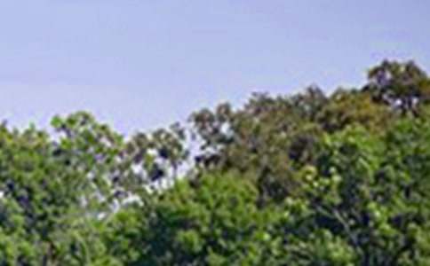 �����簲ף���Z��ȫ�����x80�䣩