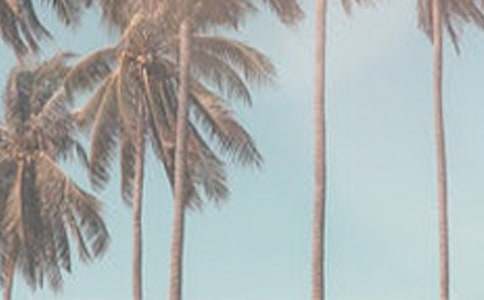 С�W���ļ���ȫ���C��