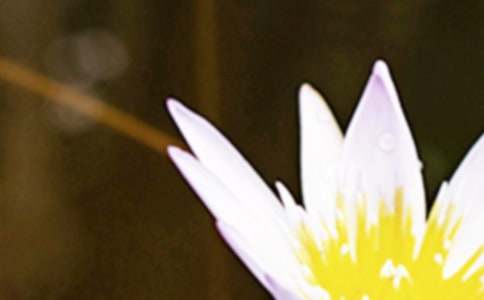 �������⺆���İ������x600�䣩