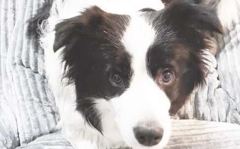 �ҵČ���С������