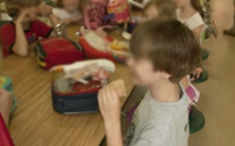 精選幼兒園親子活動(dòng)方案模板錦集8篇