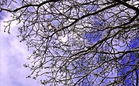 ���������簲�İ��R��165�侫�x