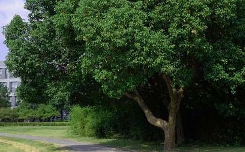 ���Tů���簲�İ���ȫ140�侫�x