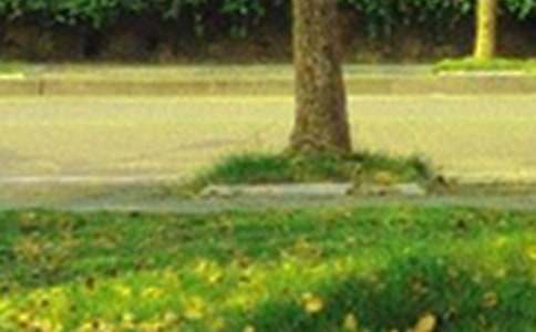 ����Ψ���簲ף���Z�R����ͨ��200�䣩