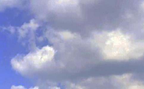 �������簲�İ��R��55�侫�x