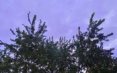 ͨ�����õ��簲΢��ף���Z35��