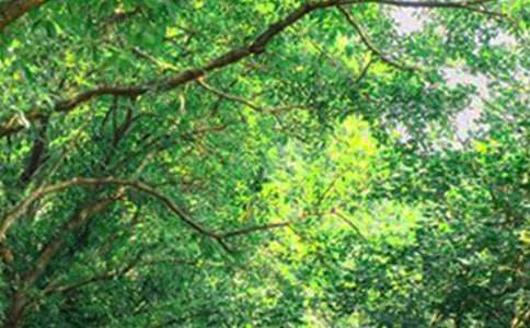 ���P(gu��n)���õ��簲ף���Z(y��)�Z(y��)䛴�R��58��