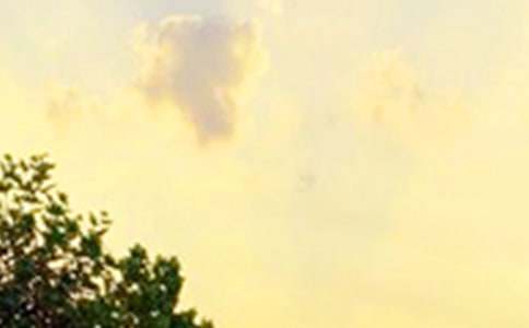 �����簲�İ�40�侫�x