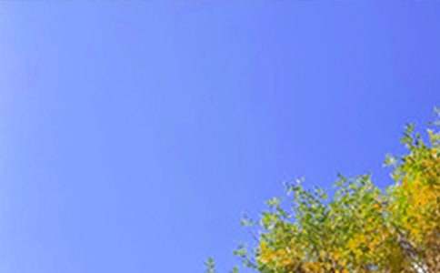 ���P�������簲�İ���ȫ110��